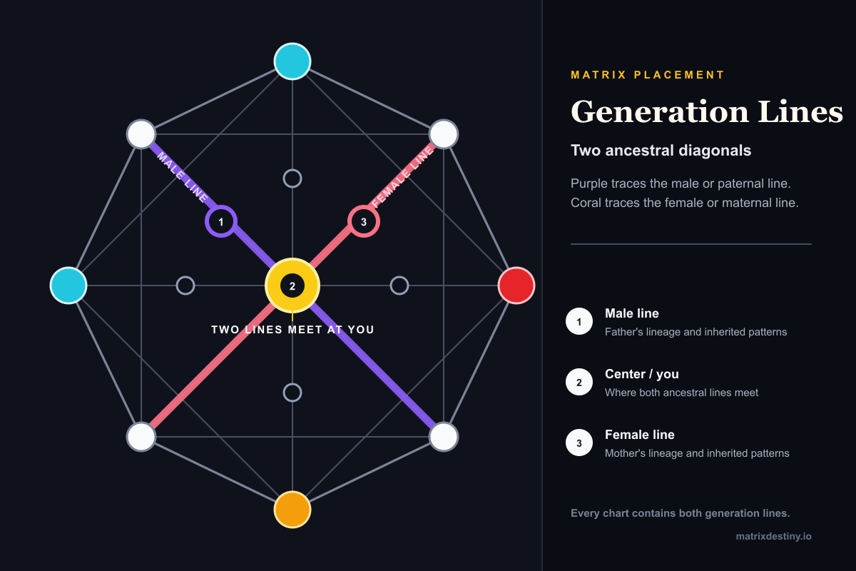 Annotated Matrix Destiny chart highlighting the purple Male Generation Line and coral Female Generation Line crossing at the center.