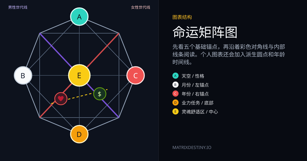 带标签的命运矩阵图，显示 A 到 E 锚点、男性与女性世代线、爱情区域和金钱区域